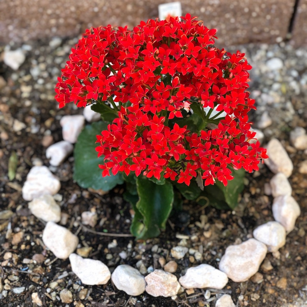 Meet your Posher, Ruby